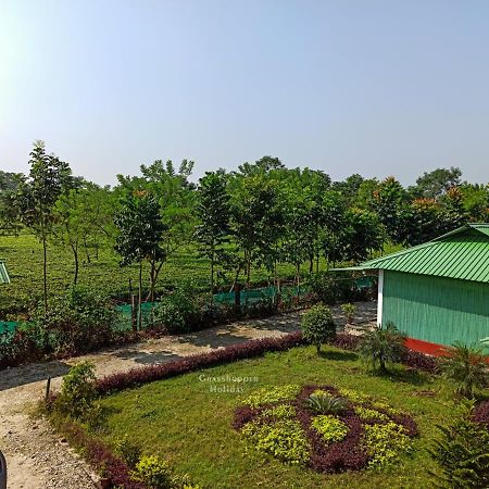 Grasshopper Jungle Queen Resort Chālsa Екстериор снимка