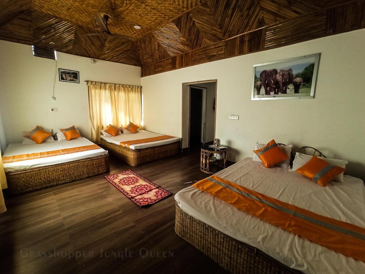 Grasshopper Jungle Queen Resort Chālsa Екстериор снимка