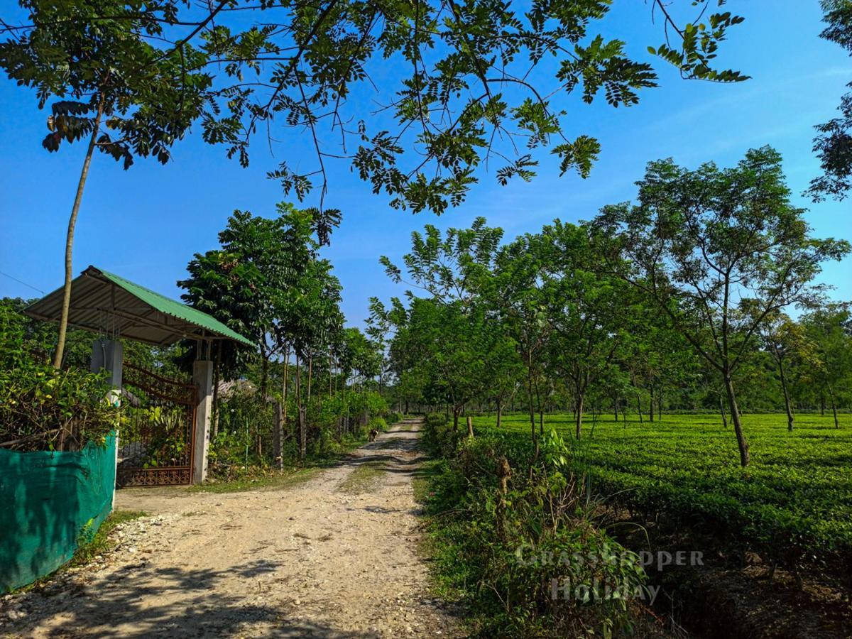 Grasshopper Jungle Queen Resort Chālsa Екстериор снимка
