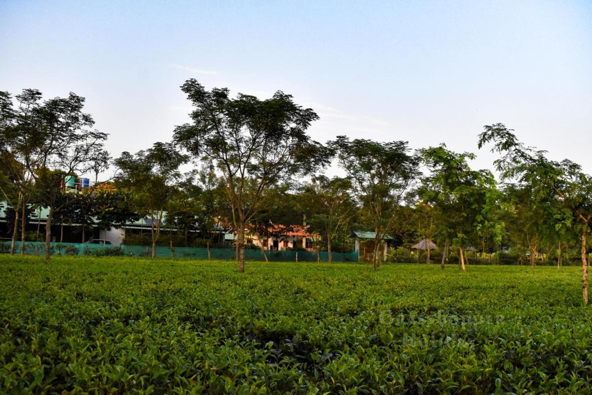 Grasshopper Jungle Queen Resort Chālsa Екстериор снимка