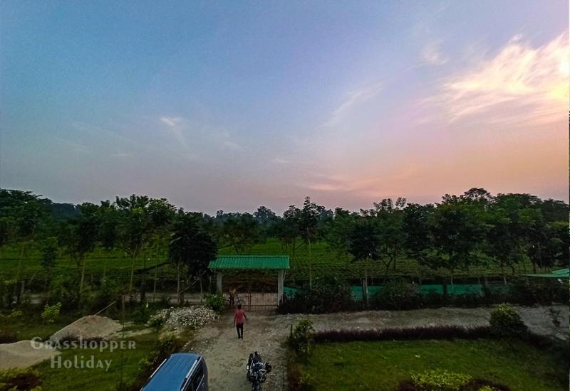 Grasshopper Jungle Queen Resort Chālsa Екстериор снимка
