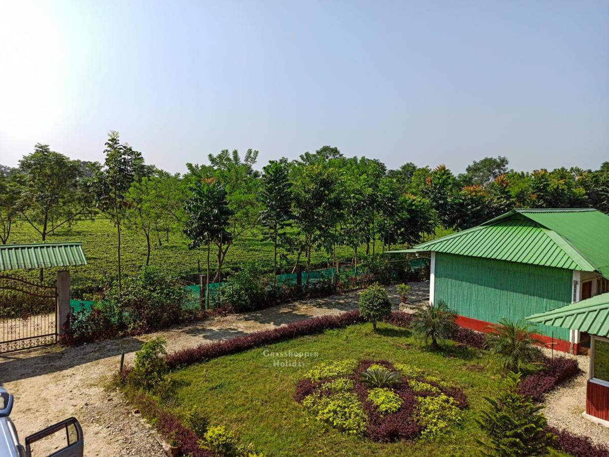 Grasshopper Jungle Queen Resort Chālsa Екстериор снимка