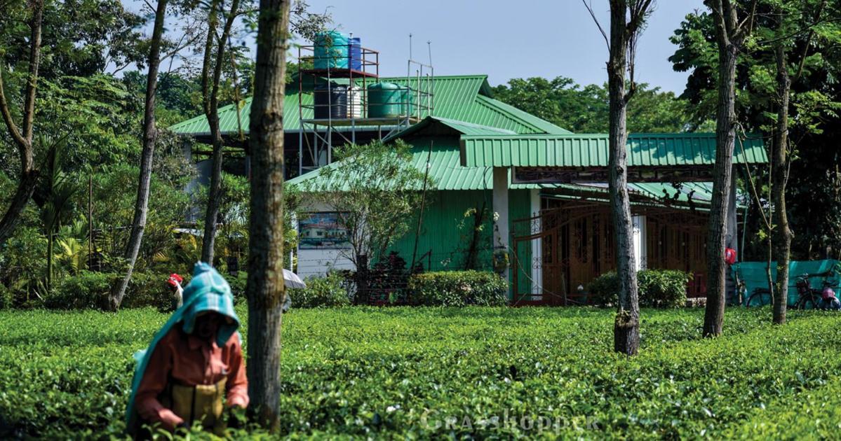 Grasshopper Jungle Queen Resort Chālsa Екстериор снимка